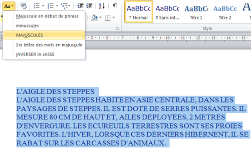 Casse police