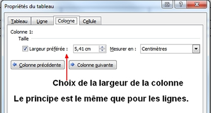 Onglet colonne